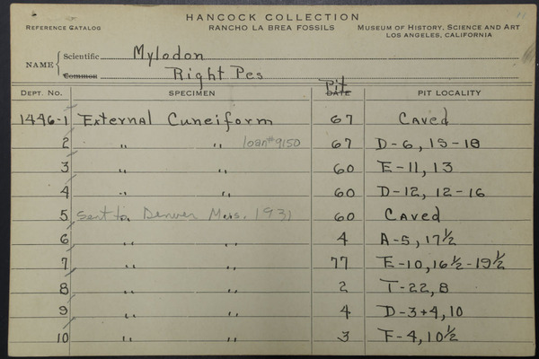 NCC 1446 (6)